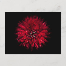 Postal Flores traseras n.o 45 en color