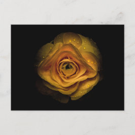 Postal Flores traseras No 74 Versión de color