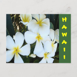 Postal Flores tropicales de Hawái