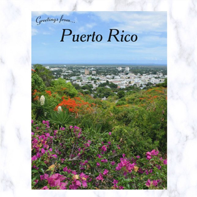 Postal Flores tropicales en Puerto Rico (Subido por el creador)