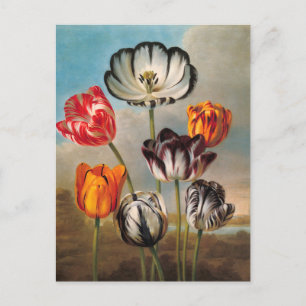 Postal Flores variadas de tulipanes vintage en un paisaje