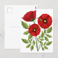 Flores veraniegas alegres con adormidera