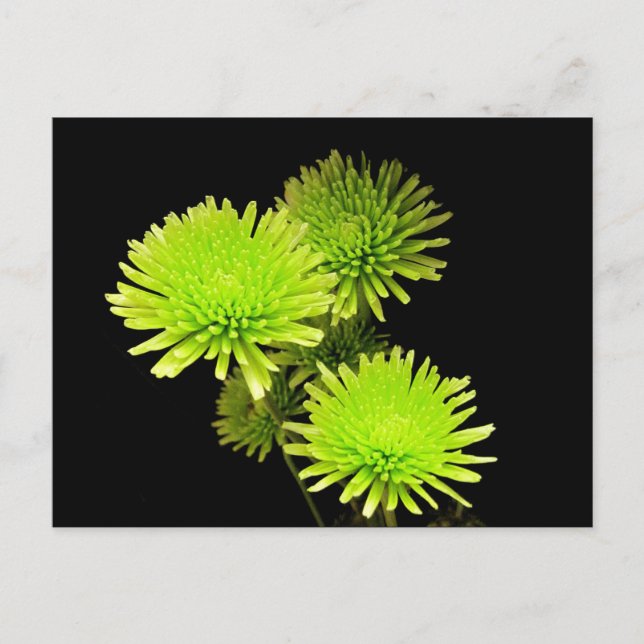 Postal Flores verdes (Anverso)