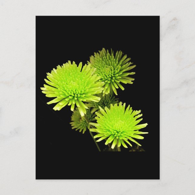 Postal Flores verdes (Anverso)