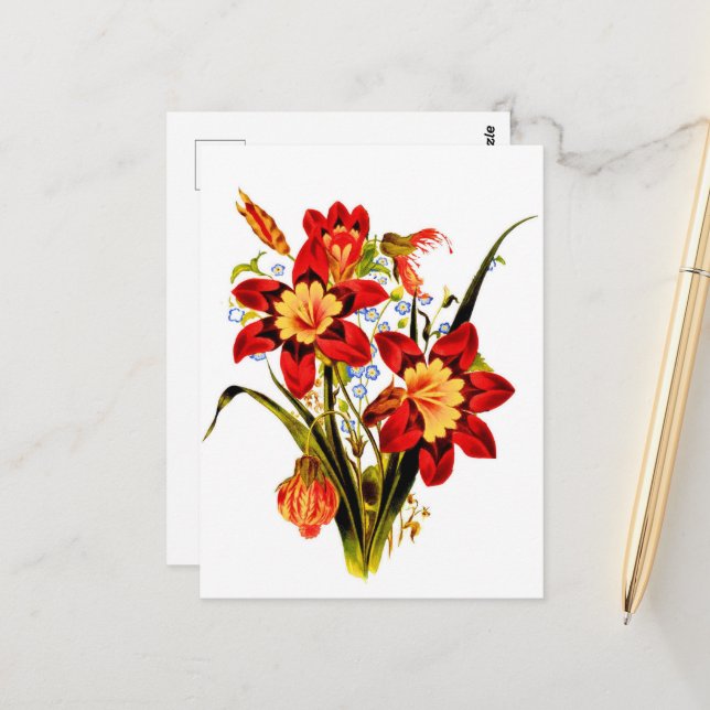 Postal Flores Vintage (Anverso/Reverso In Situ)