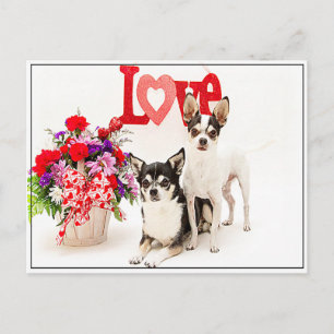 Postal Flores y amor