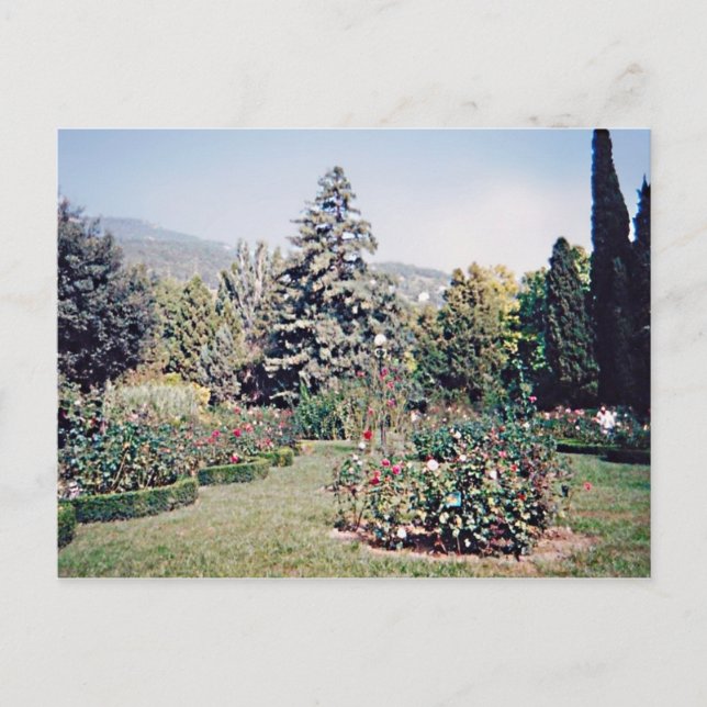 Postal Flores y árboles del Jardín Botánico Nikitsky (Anverso)