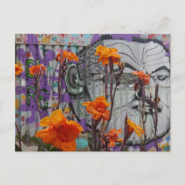 Postal Flores y arte callejero en Valparaiso, Chile (Anverso)