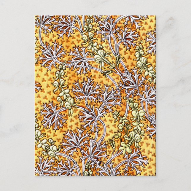 Postal Flores y encaje de estilo Art Nouveau (Anverso)