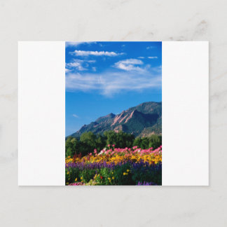 Postal Flores y flores, Colorado de Boulder