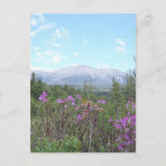 Postal Flores y la montaña