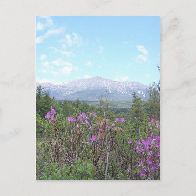 Postal Flores y la montaña (Anverso)