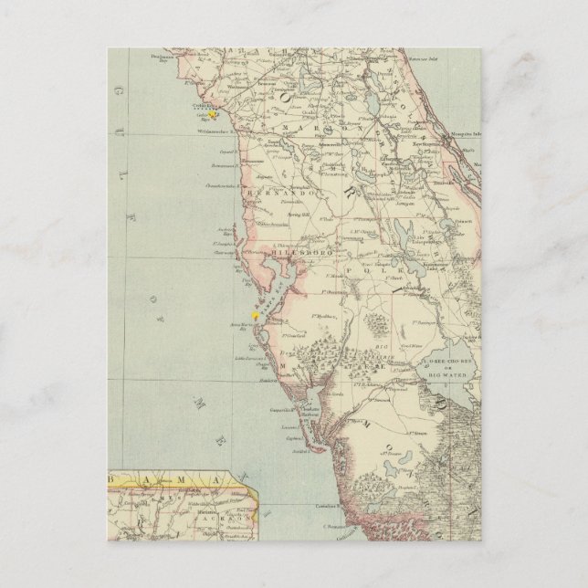 Postal Floriada (Estados Unidos) (Anverso)