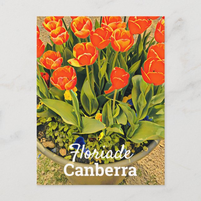 Postal Floriade Canberra Australia (Anverso)