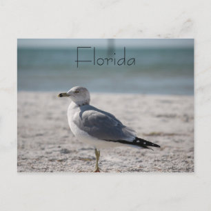 Postal Florida