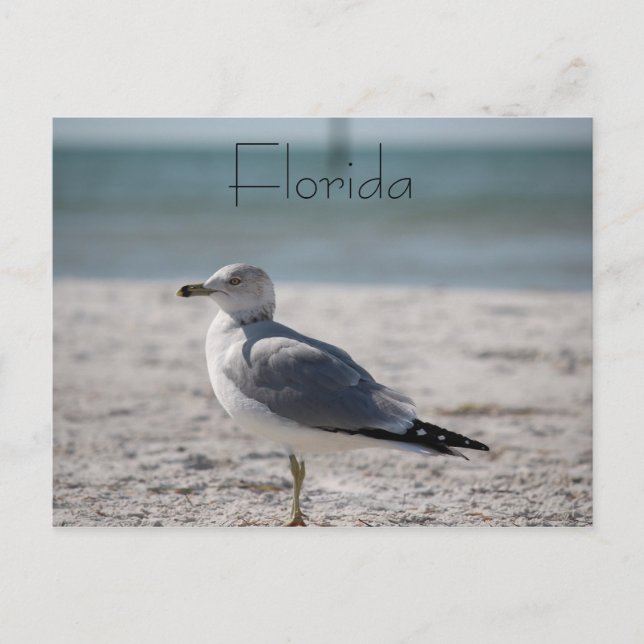 Postal Florida (Anverso)