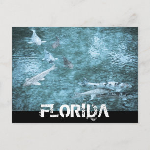 POSTAL FLORIDA