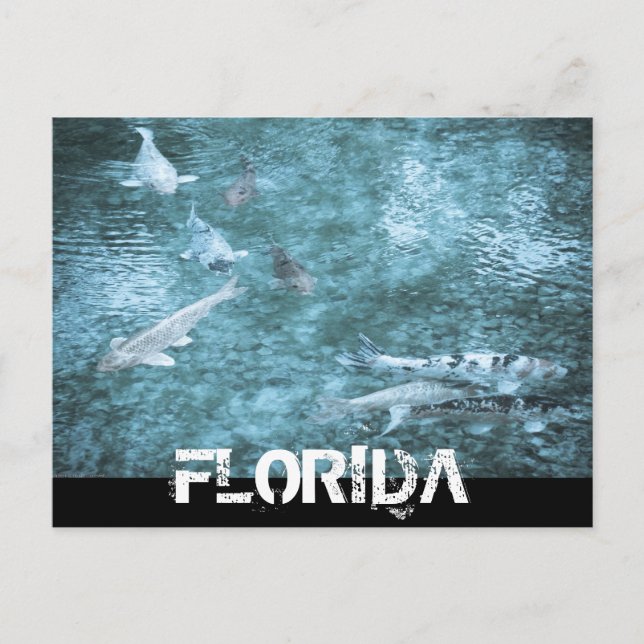 POSTAL FLORIDA (Anverso)