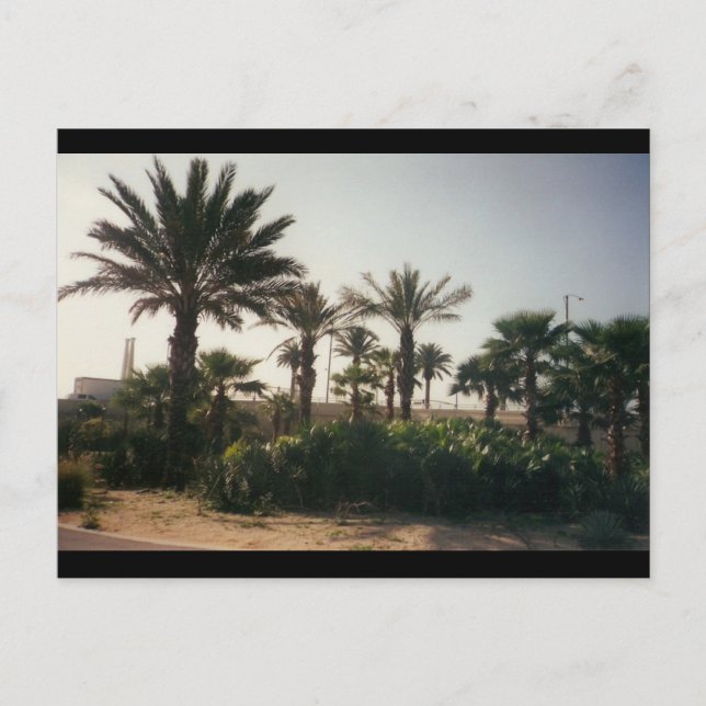 Postal Florida (Anverso)