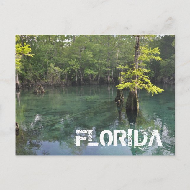 POSTAL FLORIDA (Anverso)