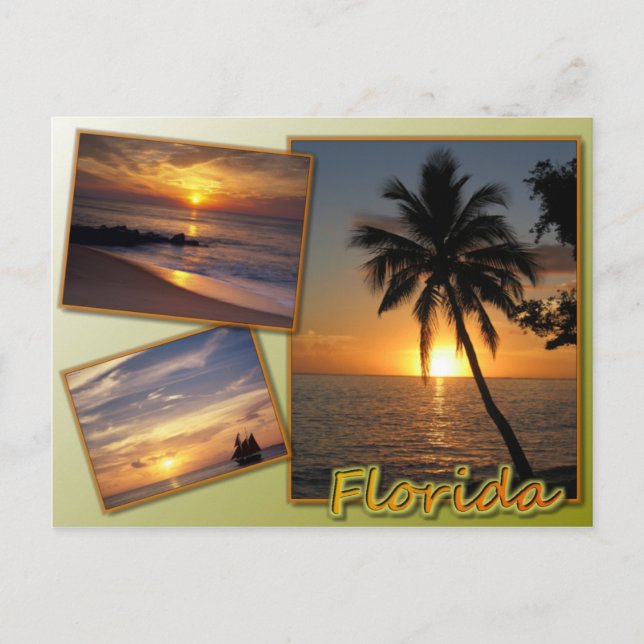 Postal Florida (Anverso)