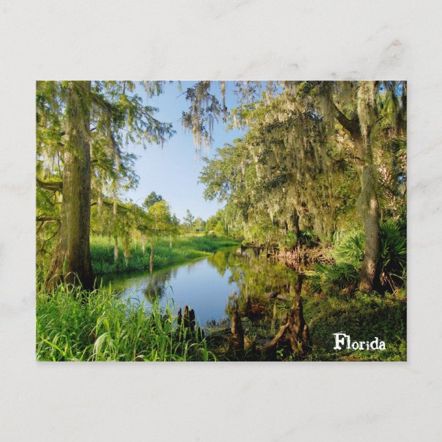 Postal Florida (Anverso)