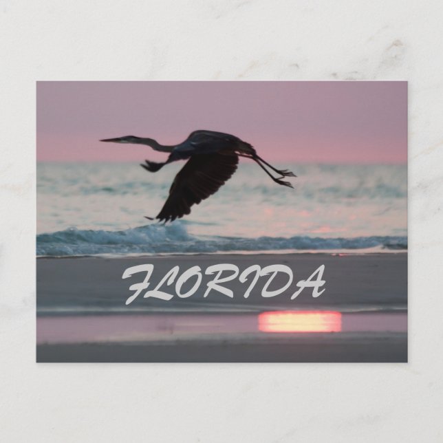 POSTAL FLORIDA (Anverso)