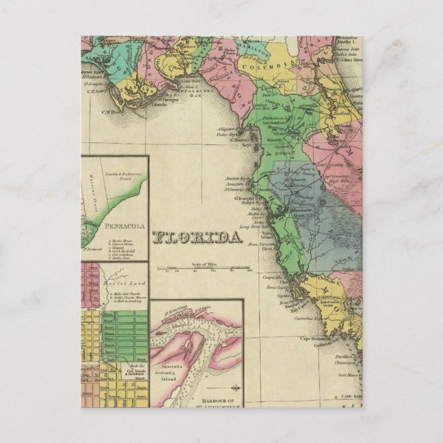 Postal Florida 11 (Anverso)