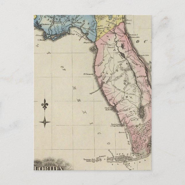 Postal Florida 11 (Anverso)