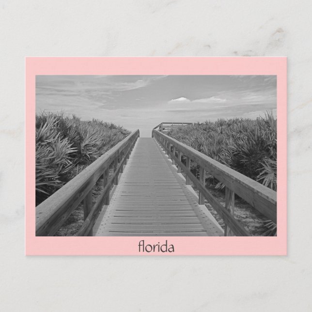 Postal florida 123, florida (Anverso)