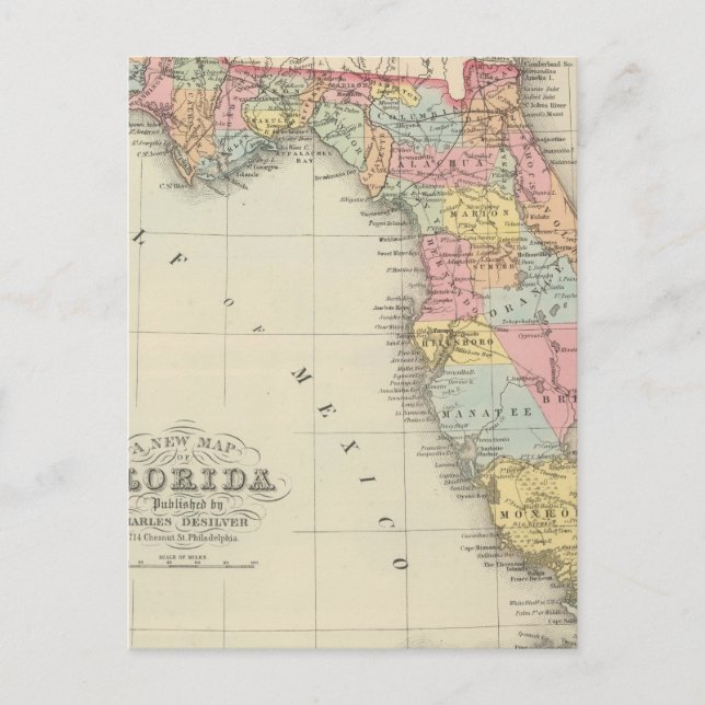 Postal Florida 13 (Anverso)