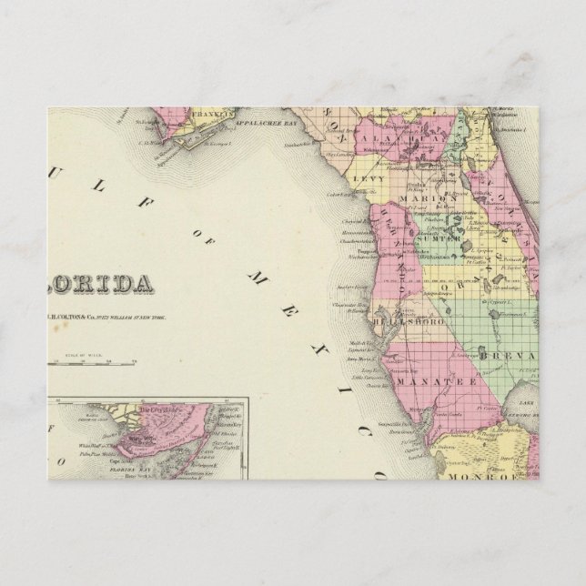 Postal Florida 5 (Anverso)