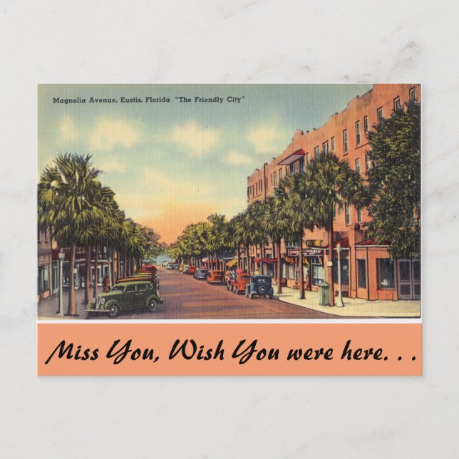 Postal Florida, Ave Magnolia. Eustis (Anverso)