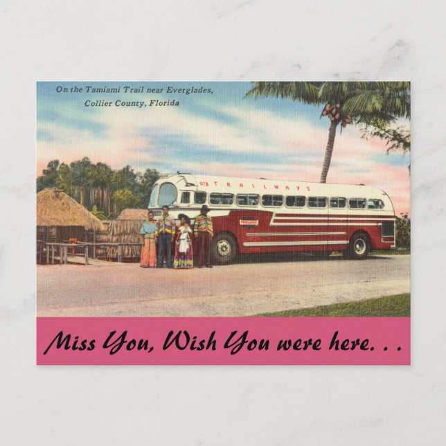 Postal Florida, Camino Tamiami, Everglades (Anverso)