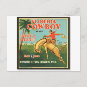 Postal Florida Cowboy