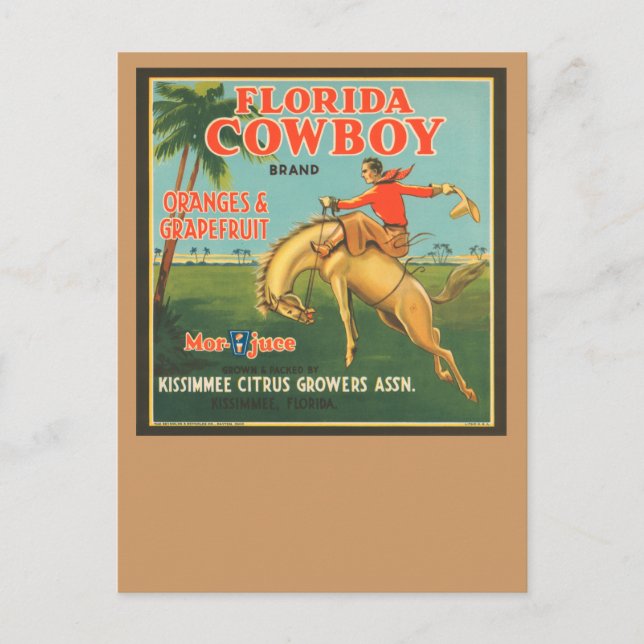 Postal Florida Cowboy (Anverso)