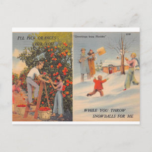 Postal Florida en invierno