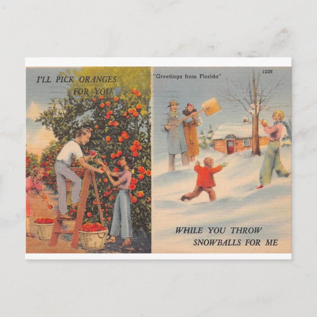 Postal Florida en invierno (Anverso)