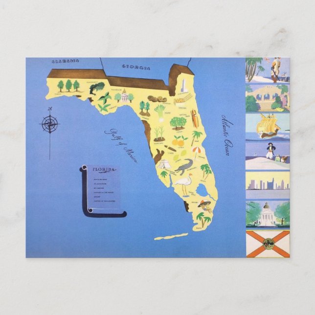 Postal Florida Ilustrada Vintage (Anverso)