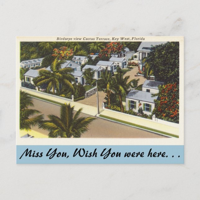 Postal Florida, Key West, Cactus Terrace (Anverso)