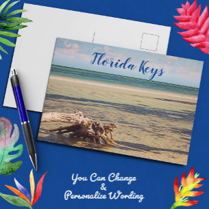 Postal Florida Keys Bahia Honda Driftwood Beach