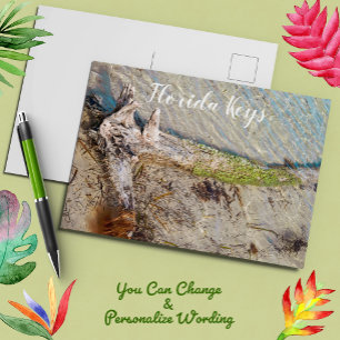 Postal Florida Keys Bahia Honda Driftwood Shore