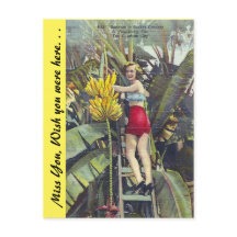 Florida, "La ciudad del sol"