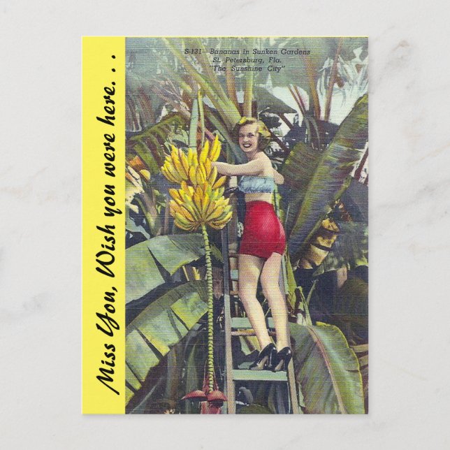 Postal Florida, "La ciudad del sol" (Anverso)