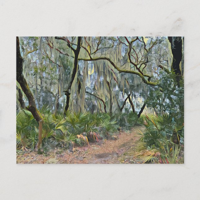 Postal Florida Lace Arte Impresionante Moss Español (Anverso)