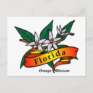 Postal Florida Naranja Blossom