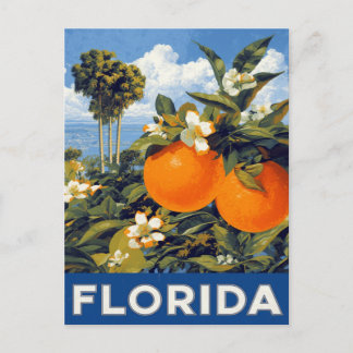 Postal Florida Oranges Vintage Travel