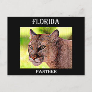 Postal Florida Panther