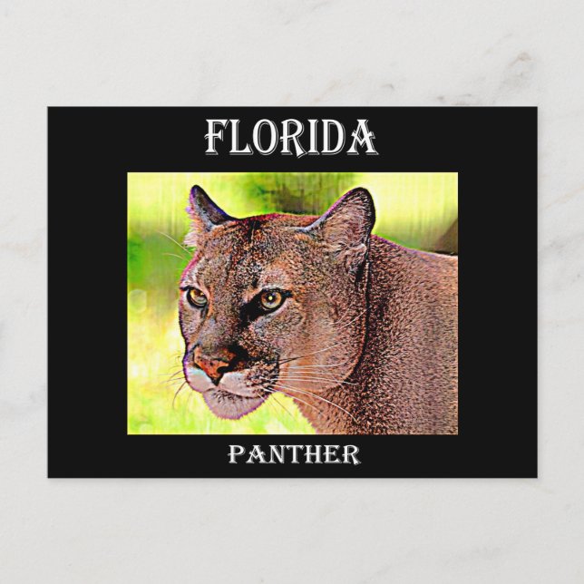 Postal Florida Panther (Anverso)