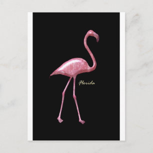 Postal Florida Pink Flamingo